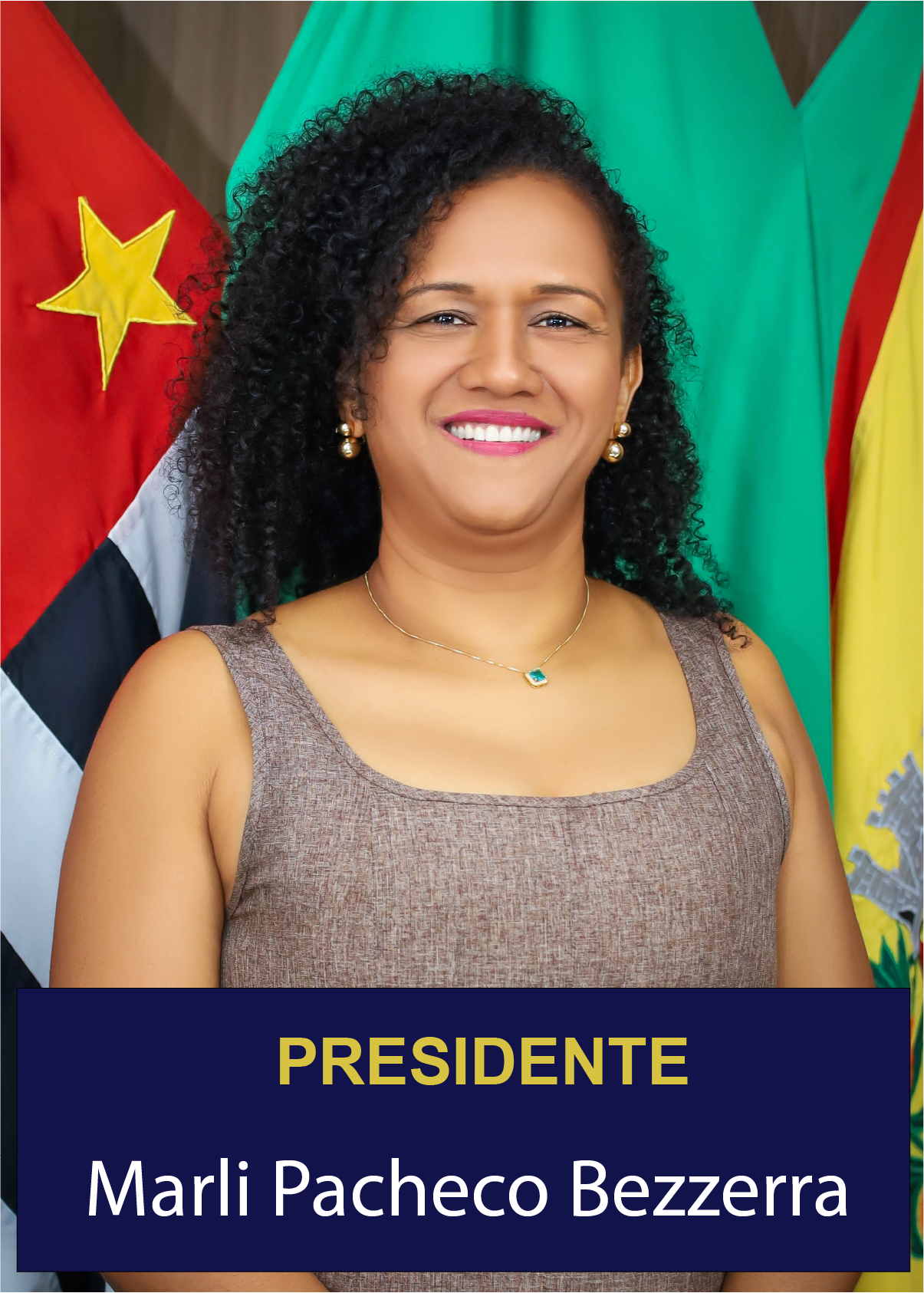 Presidente da Câmara